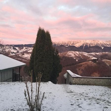 Drumul Carului Villa Moieciu de Jos Exterior foto